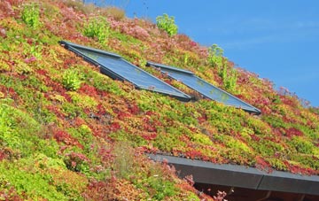 Arney living roof systems