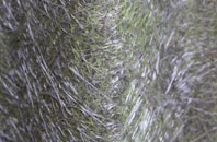 Arney fibreglass roof work