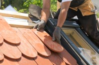 Arney tiled roofing companies